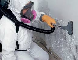 Youngstown, OH Mold Inspection Company